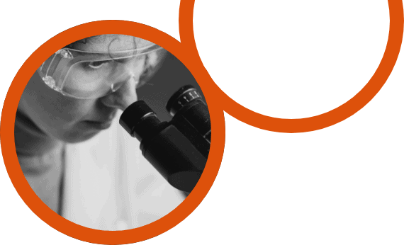 A researcher looks through a microscope