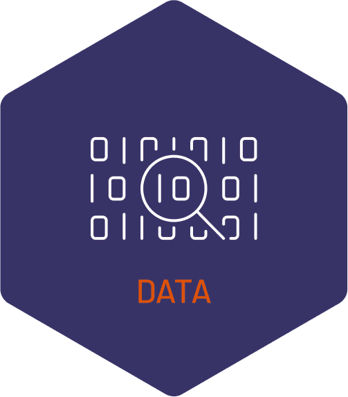 Polygon graphic with binary data icon and the word data